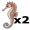 sea horse5